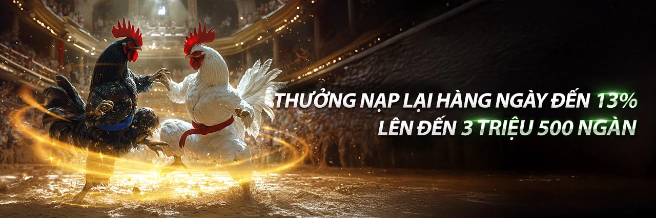 Đá Gà Trực Tuyến banca28 2026